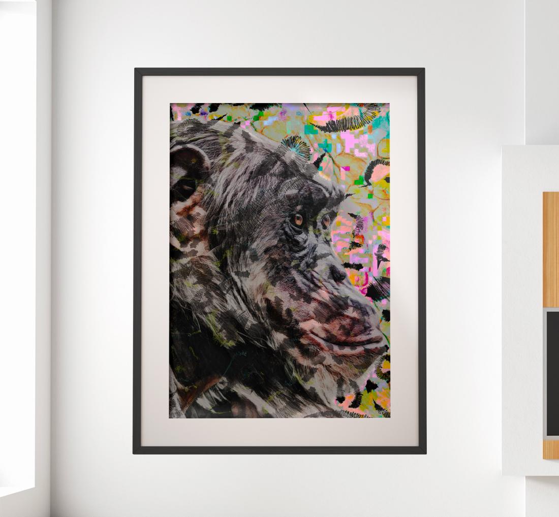 Le chimpanzé portrait