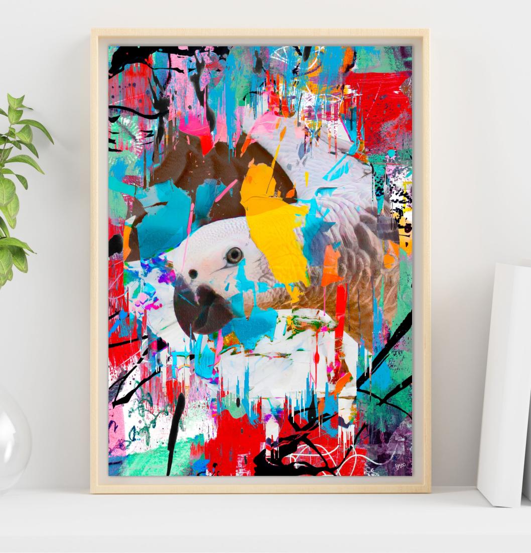 Dans l'oeil du Gris GP