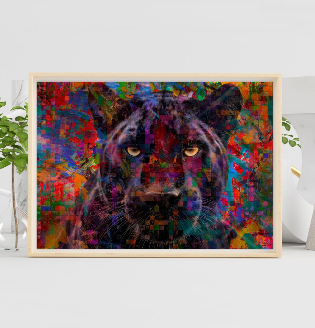 La panthère noire colorée