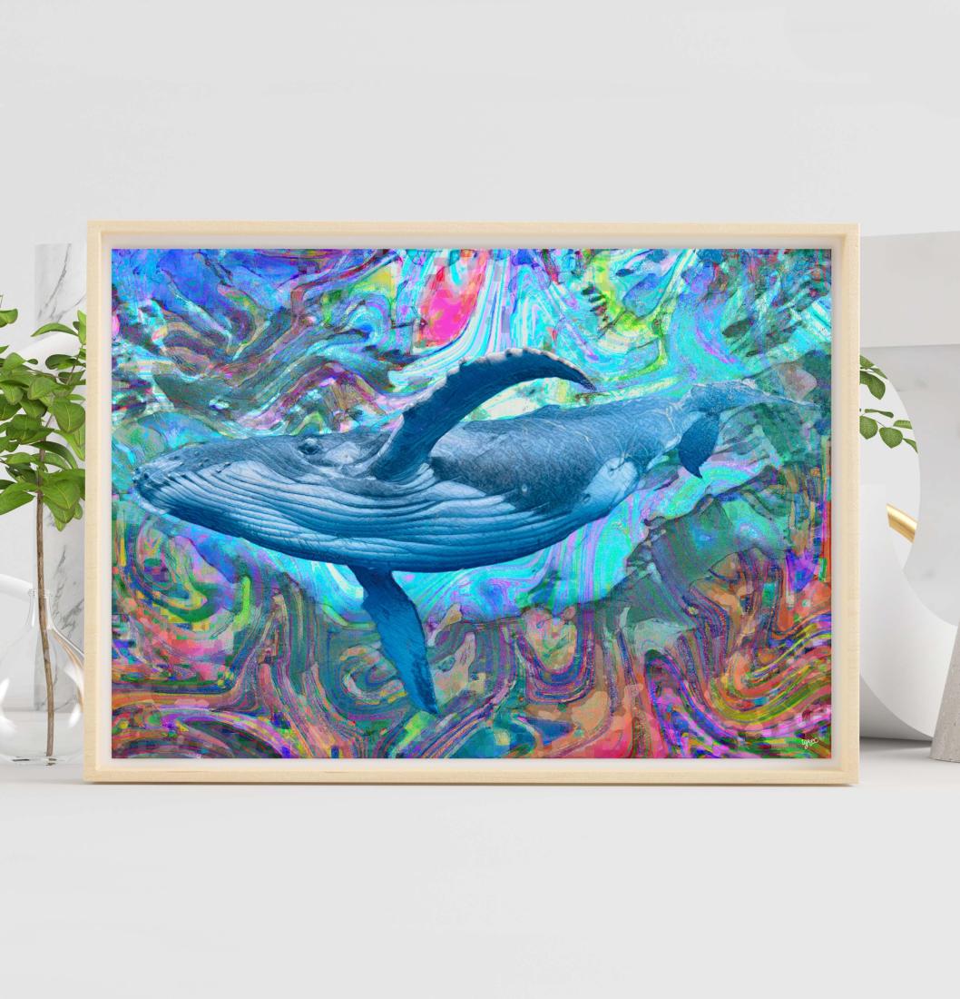 La baleine à bosse