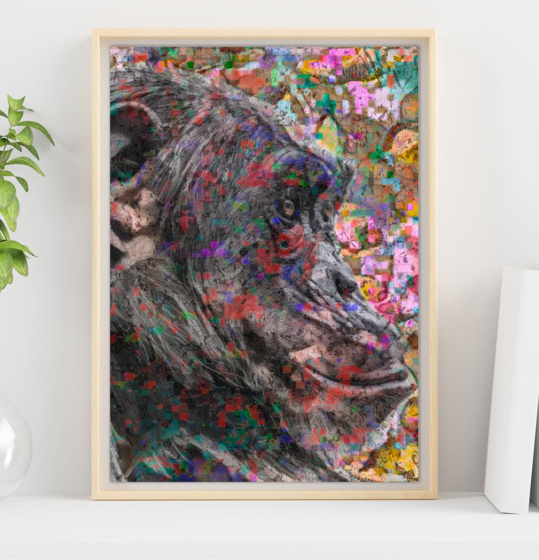 Le chimpanzé se profile